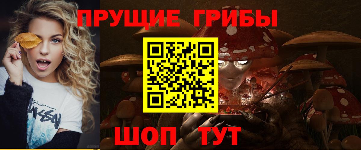 Галлюциногенные грибы ЛСД  Псилоцибиновые грибы MAGIC MUSHROOMS  Ачхой-Мартан 