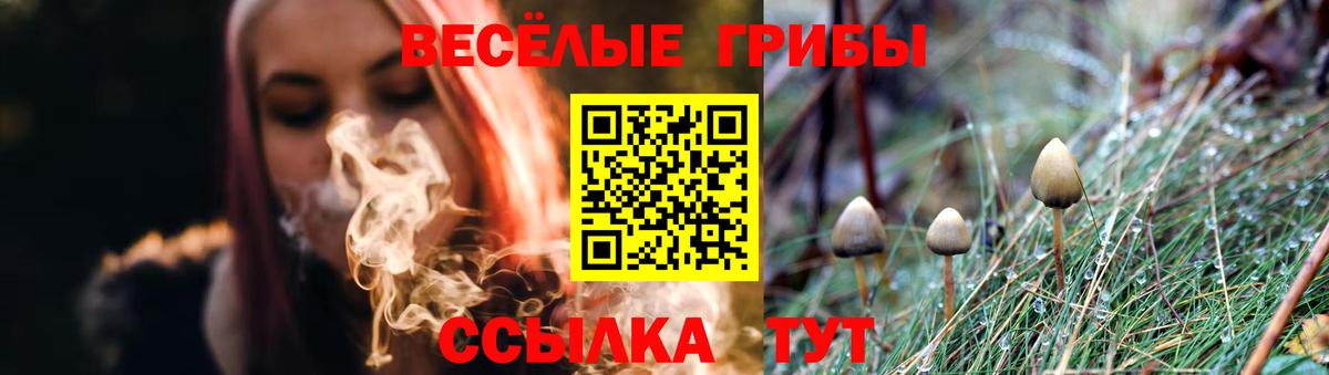 Псилоцибиновые грибы прущие грибы Ачхой-Мартан